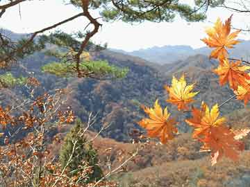 朝鲜首报韩国戒严，主播痛骂尹锡悦，这无疑是近期最热门的话题之一。但今天，让我们暂时抛开这些政治纷争，一起踏上探索自然美景的旅程。